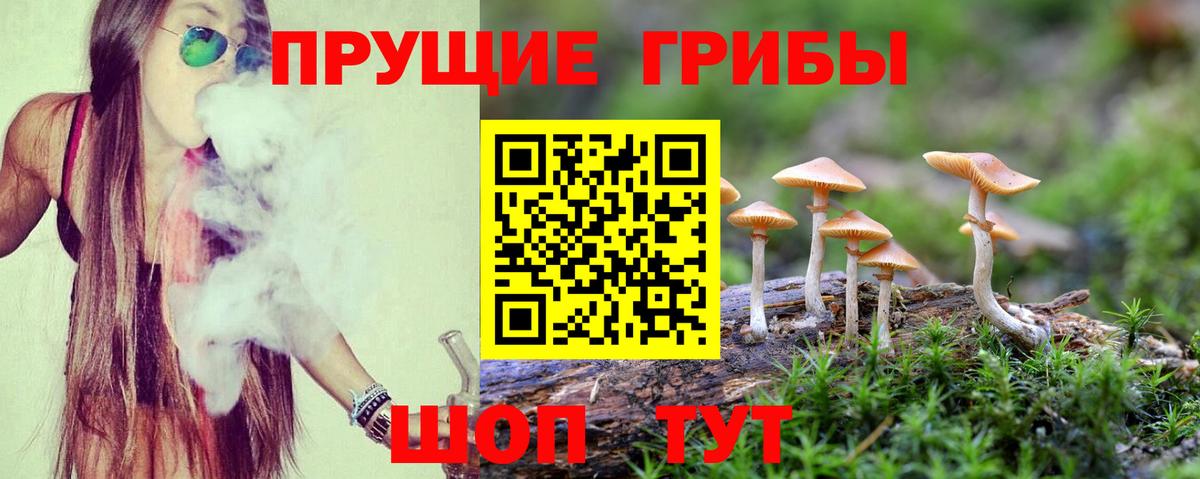 магазин    Вход с VPN  Благодарный  Галлюциногенные грибы Cubensis 
